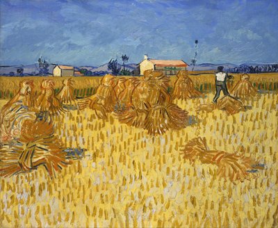 Getreideernte in der Provence von Vincent van Gogh